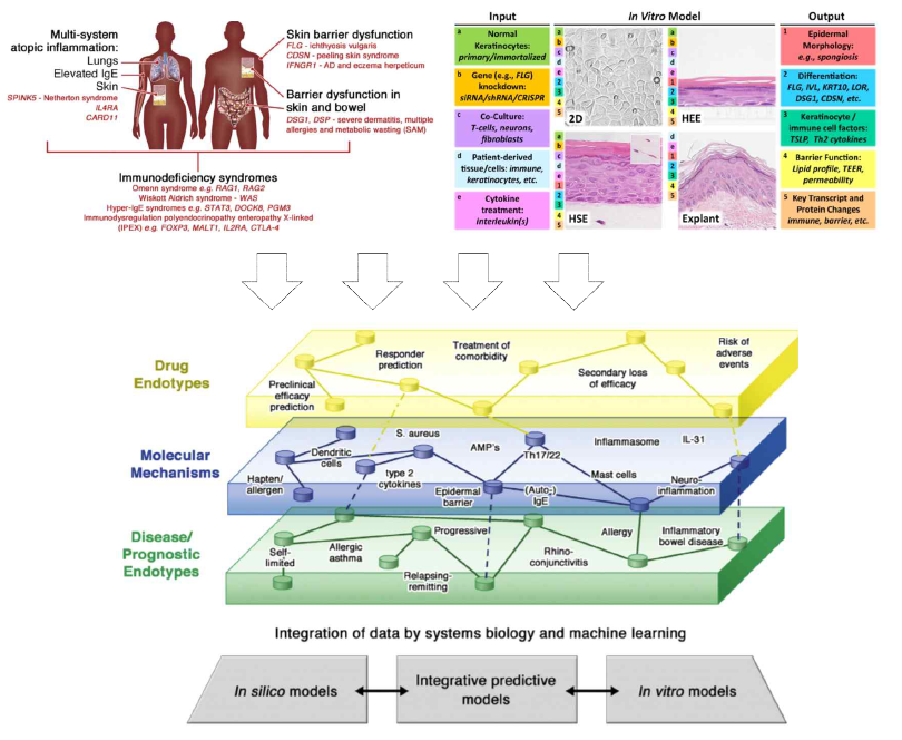 Interconnected multilayer networks: the future of human AD modeling