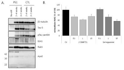 (A) 주요 유전자 western blot 결과 (B) PS1에서 대조물질이 Aβ42 분비에 미치는 영향 평가 (ELISA)