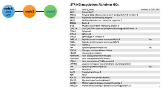 Alzheimer ontology 유전자 중 ApoE/APP와 직접적인 연계성을 가지는 유전자의 목록