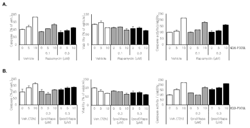 주요 대조물질의 caspase 3/7 activity와 viability에 미치는 영향 평가 결과