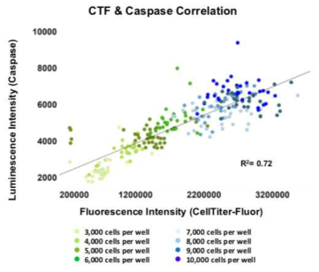 Homogenous assay에서의 세포수, viability, caspase 3/7 activity 간의 correlation 그래프