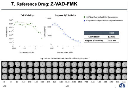 Reference compound Z-VAD-FMK의 overview
