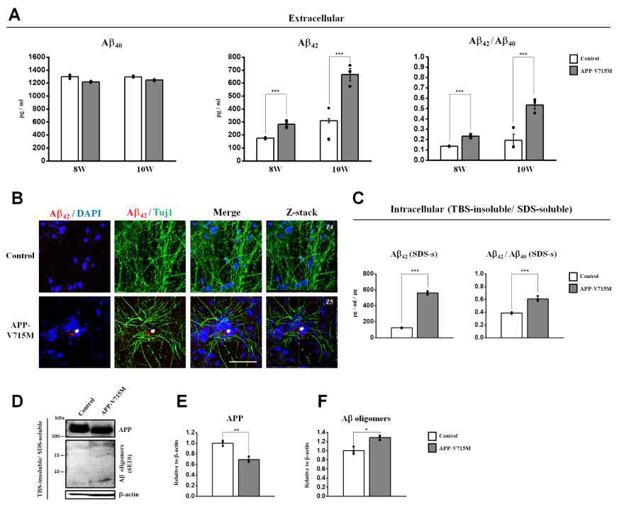 App-V715M iPSC derived neuron에서 Amyloid-beta, p-tau level 증가(위탁)