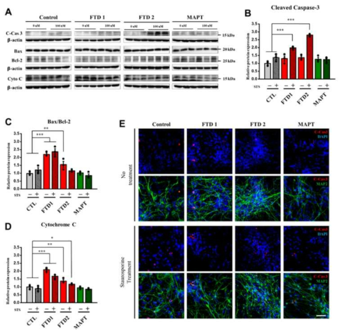 bvFTD iPSC derived neuron에서 cell-death related protein 발현이 증가함(위탁)