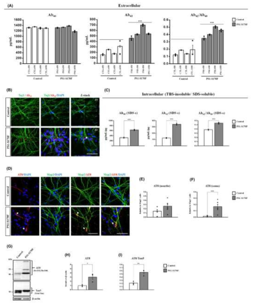 PS1-S170F iPSC-derived neuron에서 Amyloid-beta 와 p-Tau 증가(위탁)