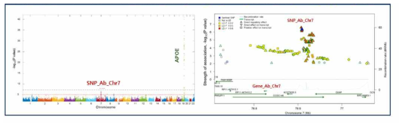 한국인 전유전체 분석을 기반으로 한 Manhattan plot, regional association plot 제작과 이를 통한 뇌아밀로이드 베타 축적 연관 유전변이(SNP_Ab_Chr7)의 발굴