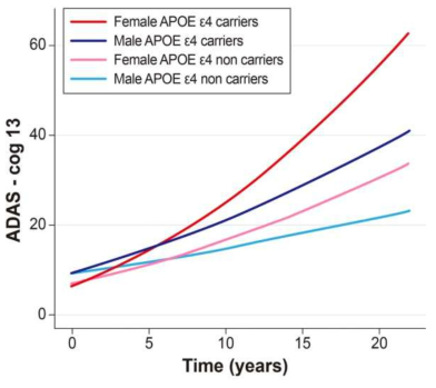 남/녀, APOE4 유무에 따른 인지저하 속도