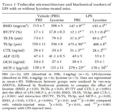 lycorine처리시 trabecular microarchitecture와 serum bone marker 분석