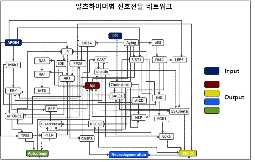 알츠하이머병 신호전달 네트워크