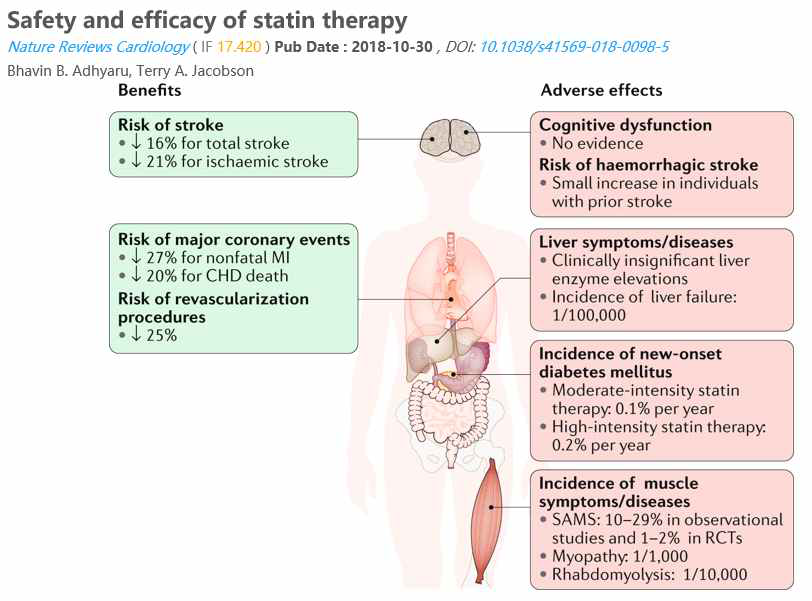스타틴의 효능 및 부작용