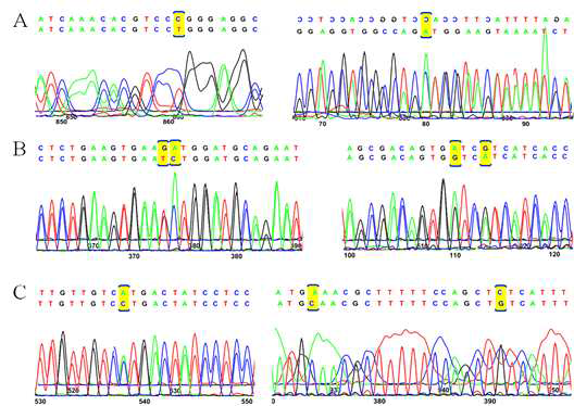 각각 MAPT (A), APP (B) 그리고 PSEN1 (C)의 wild type과 mutant type의 sequencing analysis