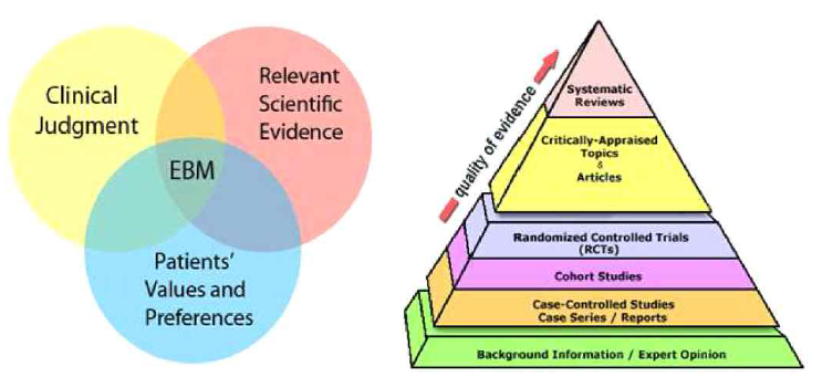 Evidence Based Medicine Triad 와 피라미드