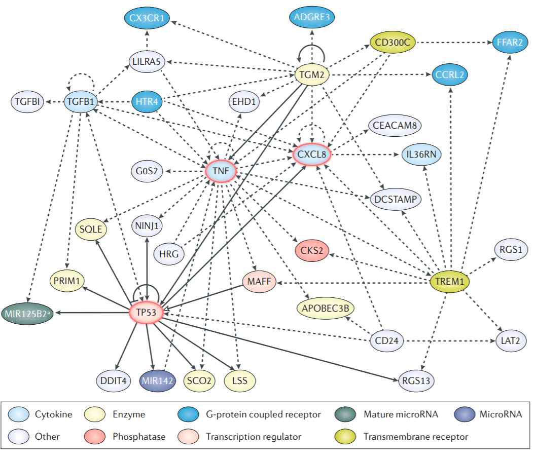 T cell의 RNA transcriptomic 기반의 예후 예측을 위한 Network 분석 모식도