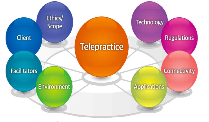 Telepractice 서비스 제공시 고려 사항