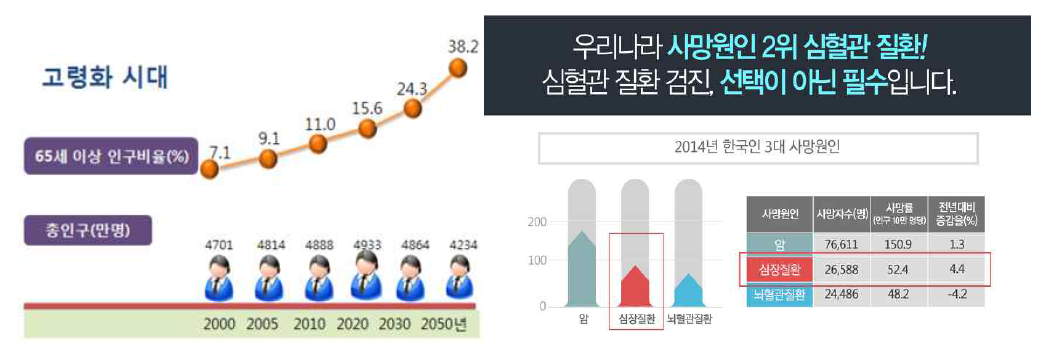 한국 고령화 추세 및 성인 사망의 주요 원인