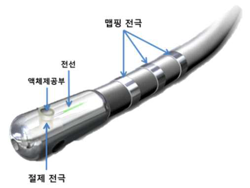 전극카테터 도식