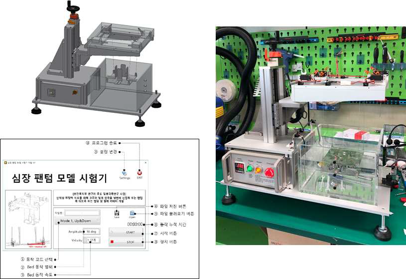 동적 심장 팬텀 모델