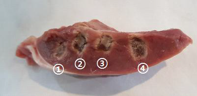 Endocardium ① ablation test