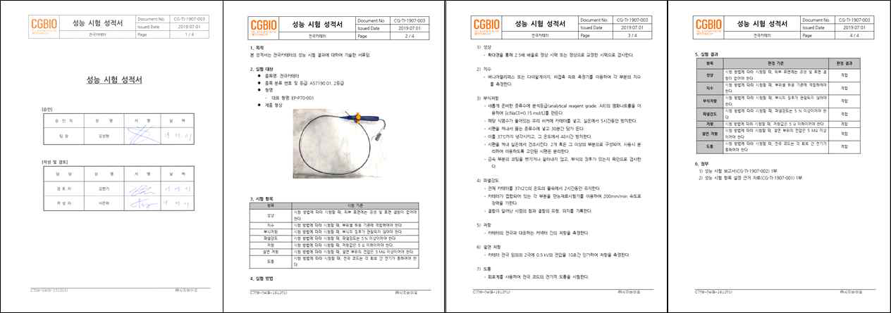 성능 시험 성적서_CG-TI-1907-003 (자체 시험)