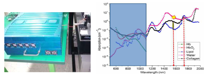 연구에 사용된 1560 nm 펄스 레이저의 모습(좌)과 힘줄 주요 물질(콜라겐)과 지질(lipid)의 광흡수 특성의 비교