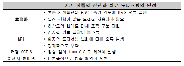 기존 힘줄의 진단과 치료 모니터링의 단점