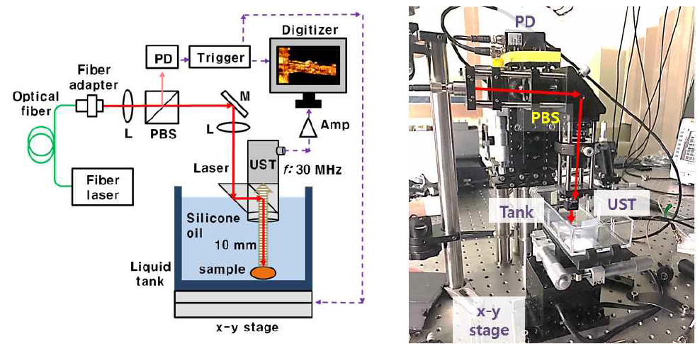 (좌) 힘줄의 광음향 영상 구현을 위한 광음향 영상 시스템 구성도, (우) 사진