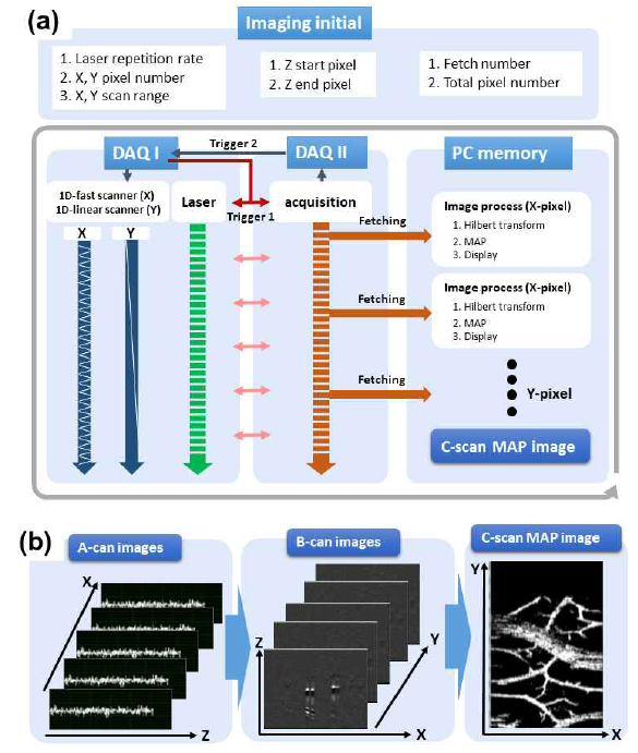 좁은 범위 개별 광음향 영상 획득 프로그램 프로세스. (a) 프로그램 프로세싱 과정, (b) 획득되는 A-scan, B-can, C-can 데이터가 처리되는 과정