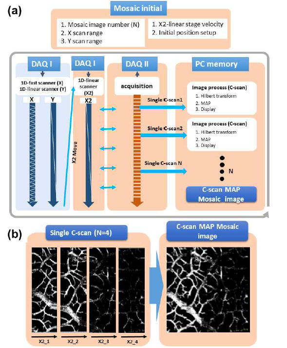대면적 광음향 영상 획득 프로그램 프로세스. (a) 프로그램 프로세싱 과정, (b) 획득 되는 좁은 면적 단일 광음향 영상이 Mosaic 영상으로 합쳐지는 개념도