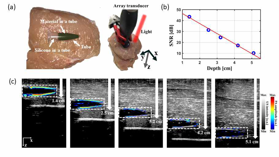 조영제를 활용한 광음향 미세 신호 향상 실험. (a) 조영제와 치킨조직 실험 모습, (b) 깊이별 획득 민감도, (c) 5.1 cm 까지 획득 가능함 확인