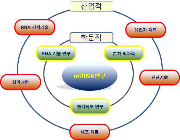 miRNA의 학문적 가치 및 산업적 가치