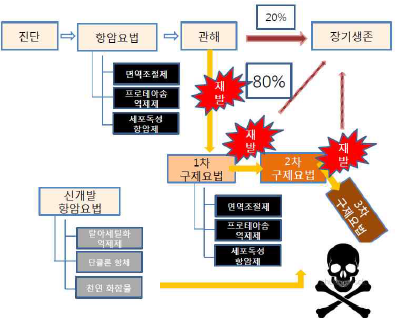 증상이 있는 다발골수종 환자에서 보편적인 치료 과정