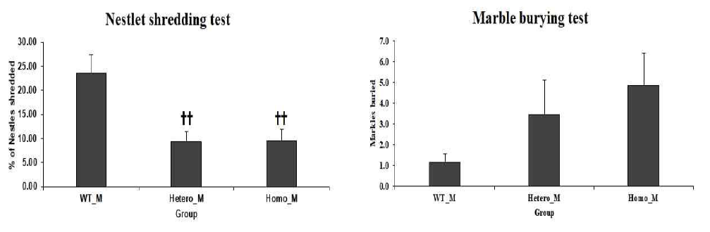 7주령 수컷에서 자폐행동 실험인 Nestlet shredding test 시행한 결과 대조군에 비하여 CLC-4 유전자 Knockdown 된 쥐에서 유의성 있게 무게 감소를 확인함 (p<0.01). Marble burying test를 시행한 결과 대조군에 비해 파묻은 구슬의 숫자가 많은 것을 확인함