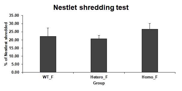 7주령 암컷에서 자폐행동실험 Nestlet shredding test를 진행함