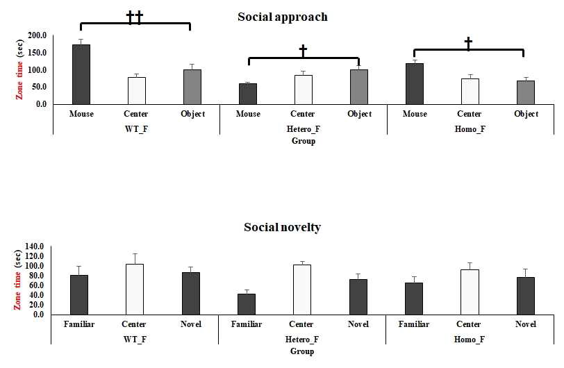 8주령 암컷에서 Social behavior test를 진행함