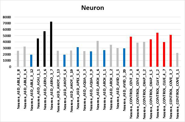 발달장애 환자와 정상인의 유도줄기세포 분화된 신경세포의 CLC-4 발현 비교