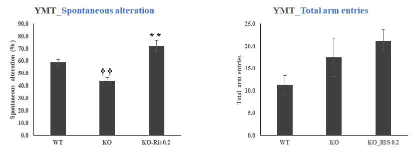 7주령 수컷에서 Y-maze를 시행함. Y-maze 실험결과 WT에 비해 CLC-4 KO 군에서 단기 기억 (Spontaneous alteration)이 감소하였으나, 약물 처리군에서 유의성 있게 증가하였음 (p<0.01). 그러나, 전체 이동횟수는 WT에 비해 CLC-4 KO 군에서 증가하였으나, 약물 처리군에서도 증가하는 경향을 보임