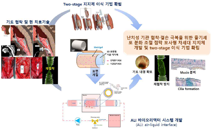 본 연구개발의 모식도