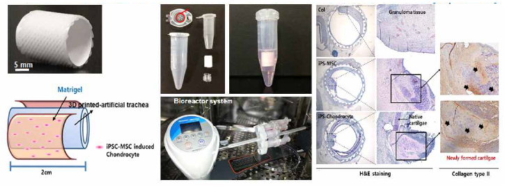 본 연구팀의 삼차원 도관형 지지체 및 air-liquid interface 구현 1세대 바이오리액터 시스템