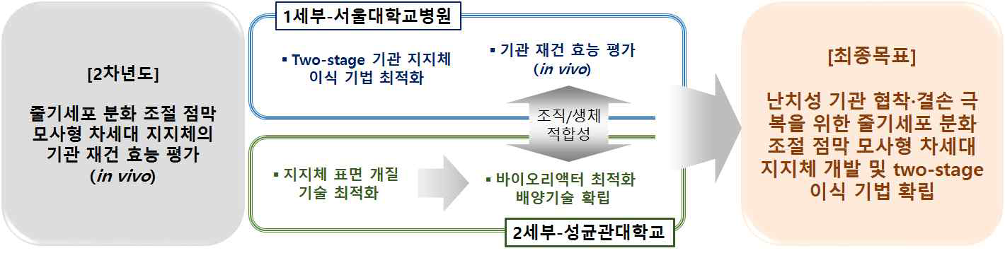 2차년도 연구개발 시스템 구조도