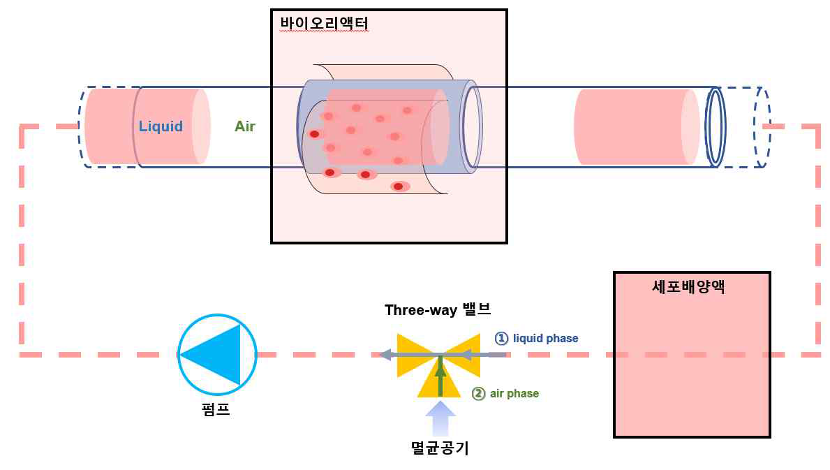 Air-liquid interface 구현이 가능한 점막모사형 바이오리액터의 모식도