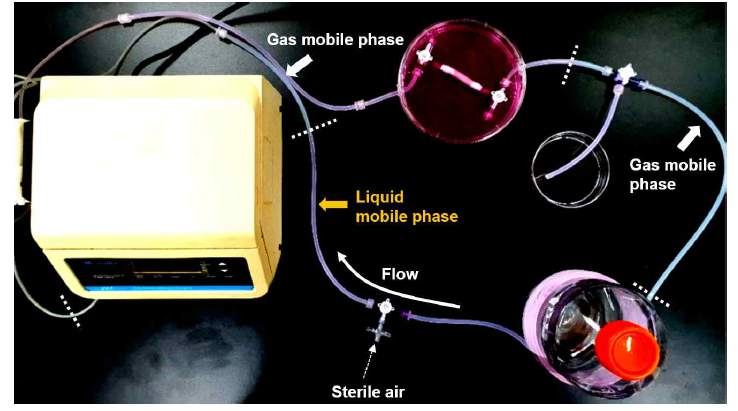 지지체 내부에 지속적인 air-liquid 이동상 전달이 가능한 기도상피세포 배양용 차세대 바이오리액터