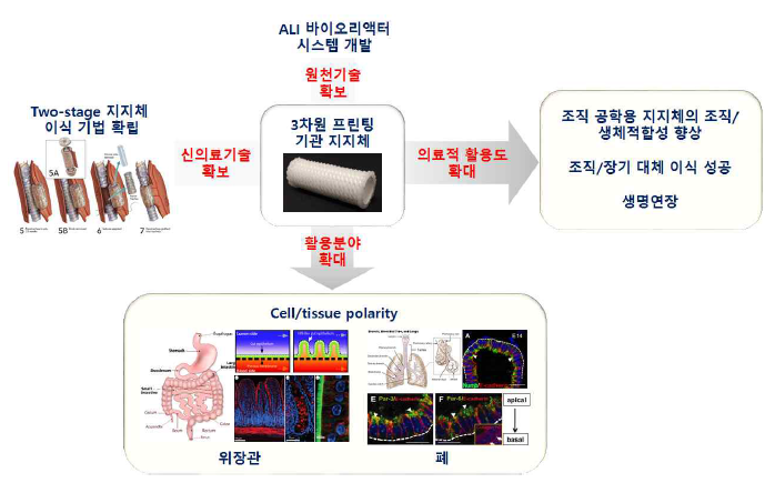 본 연구개발의 활용방안 및 기대효과