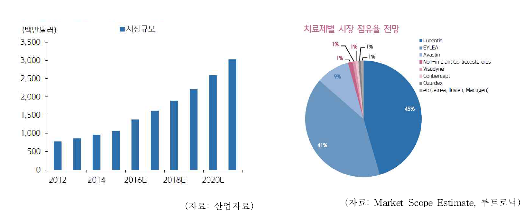 당뇨성 망막병증 시장규모 및 치료제 시장 동향