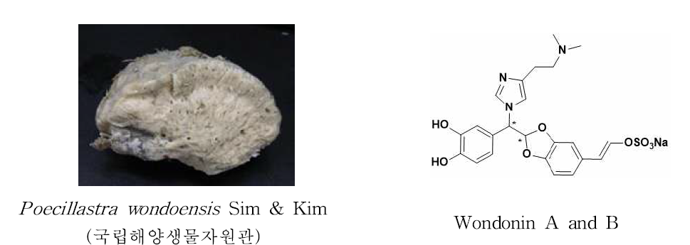 Wondonin의 화학구조