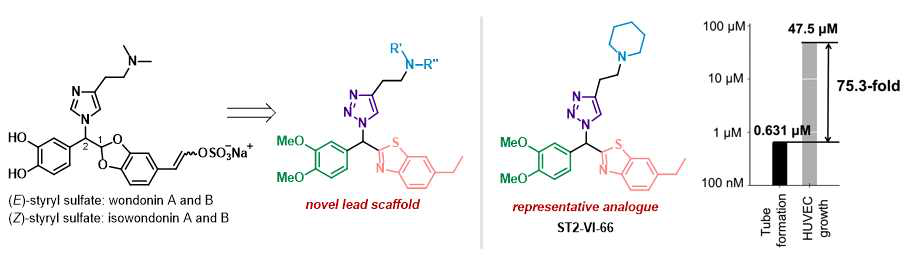 1세대 wondonin scaffold의 구축 및 이의 대표 유도체 ST2-VI-66