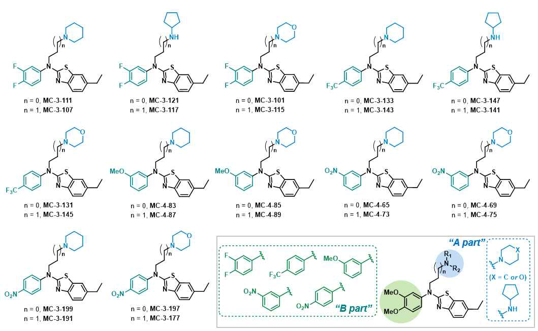 B part가 다양한 phenyl ring들로 치환된 유도체 라이브러리 제작