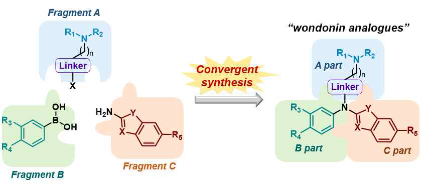 소재의 대량확보를 위한 효율적인 convergent synthetic stratage