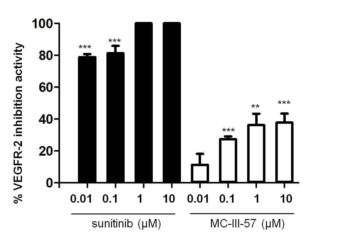 MC-III-57의 VEGFR2 kinase 억제 활성평가 결과