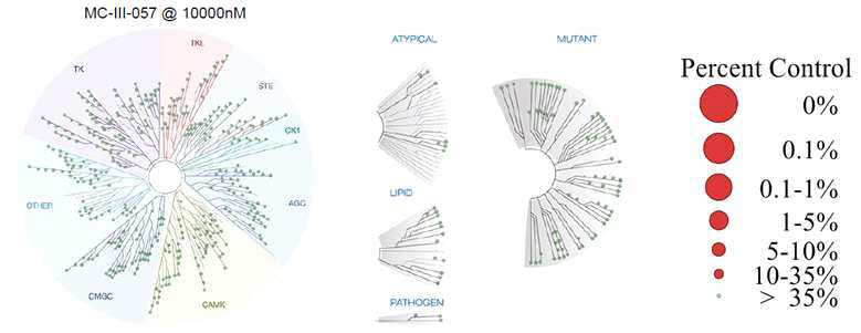 KINOMEscan kinase 효능 평가