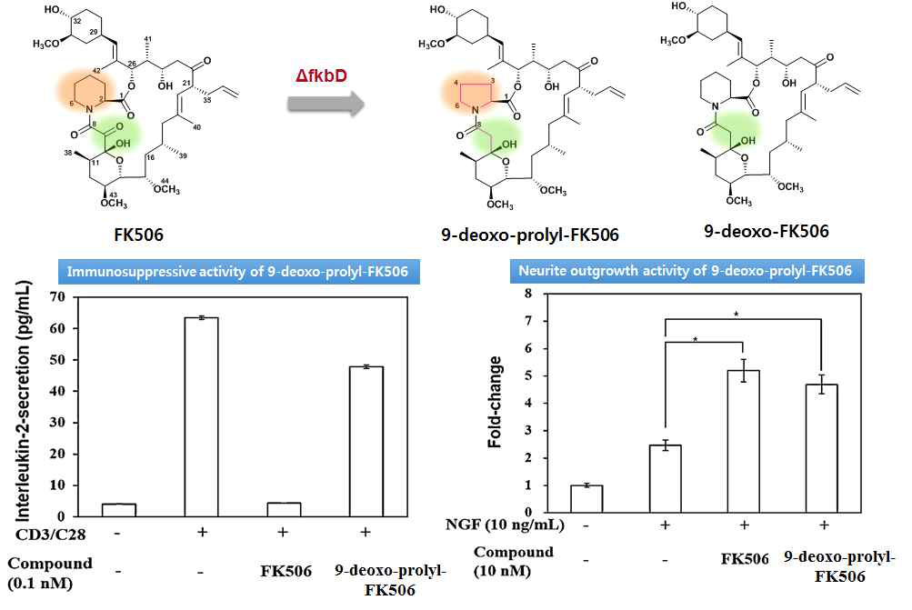 본 연구진이 확보한 9-deoxo-prolyl-FK506의 면역억제 및 신경재생 활성